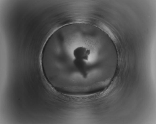 X0000092230899200709141103