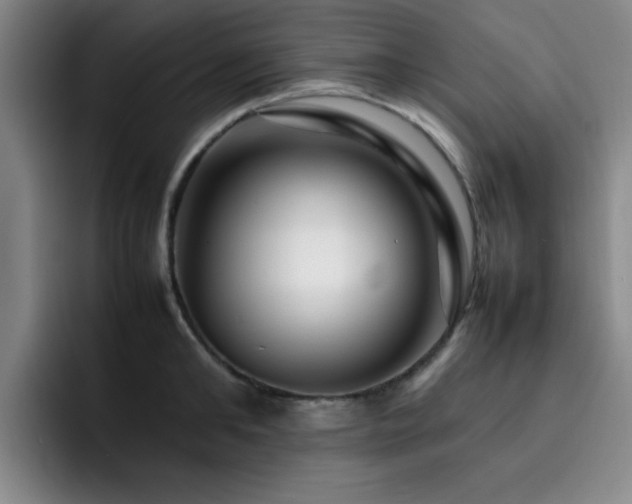 X0000092230902200709141103