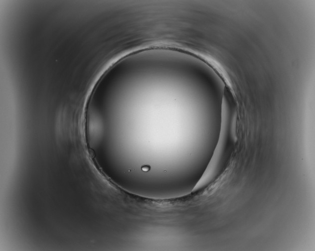 X0000092230911200709141103
