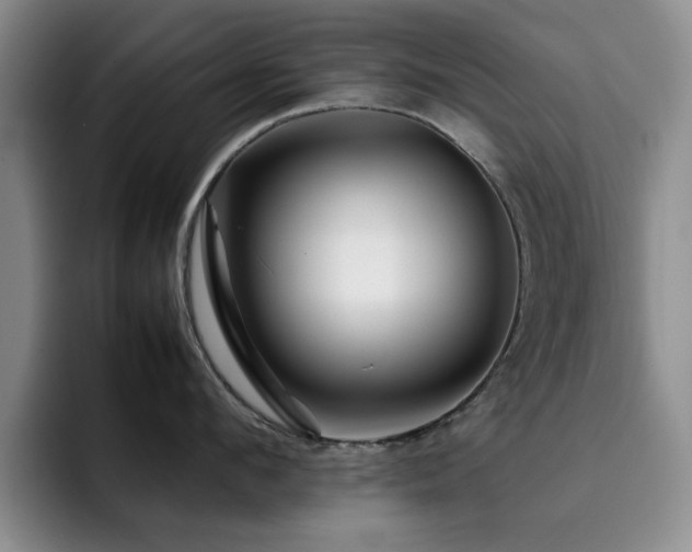 X0000092230912200709141103