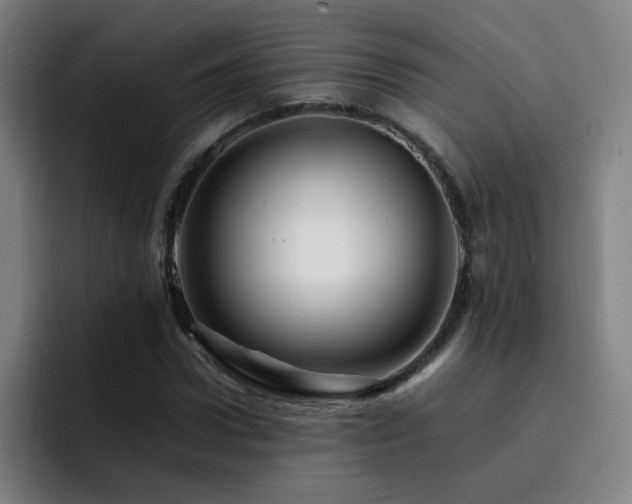 X0000092230922200709141103