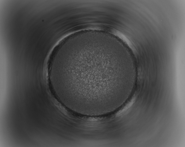 X0000092230923200709141103