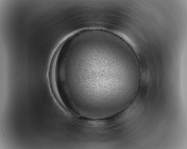 X0000092230943200709141103