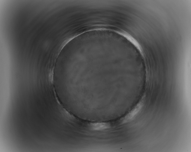X0000092230953200709141103