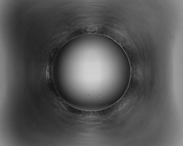 X0000092230962200709141103