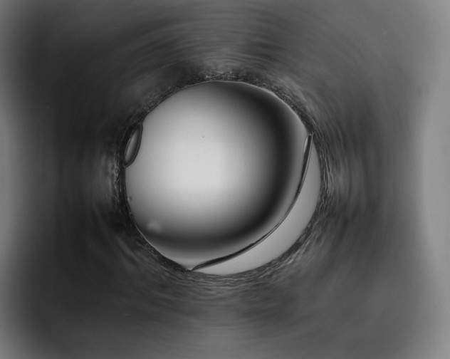 X0000092230964200709141102