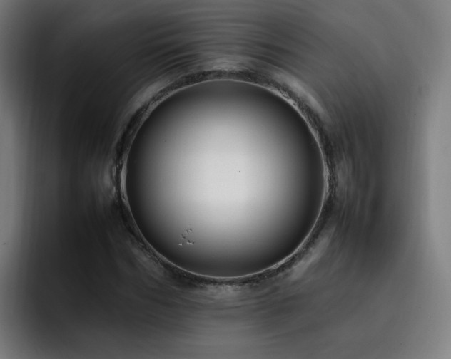 X0000092230970200709141102
