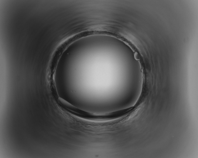 X0000092230971200709141102