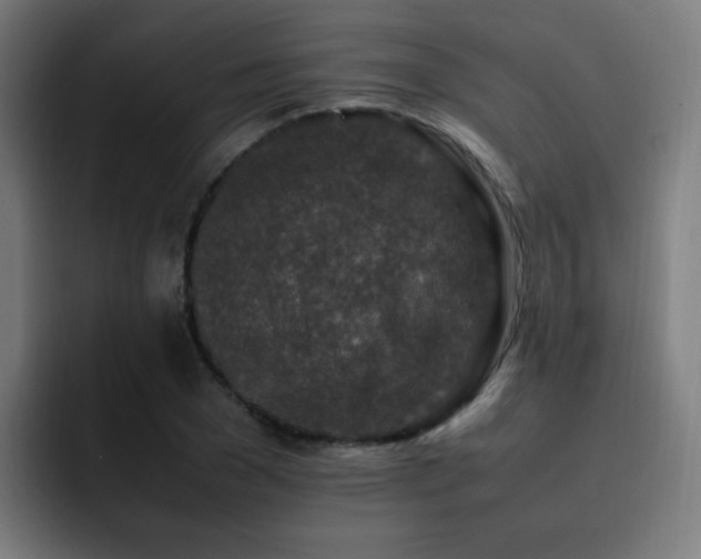 X0000092230977200709141102