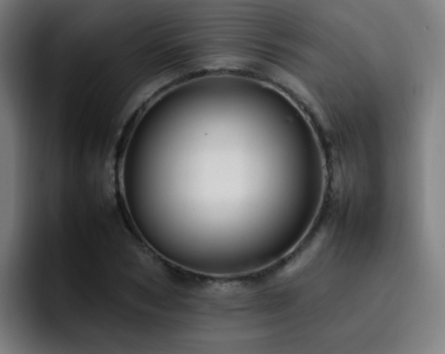 X0000092230978200709141102