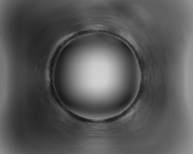 X0000092230979200709141102