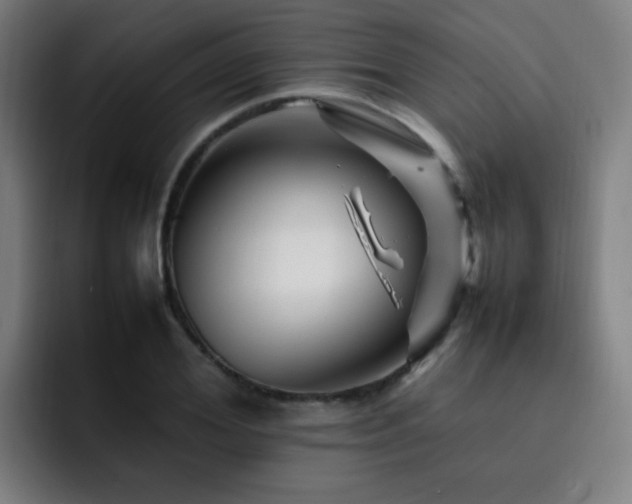 X0000092230980200709141102