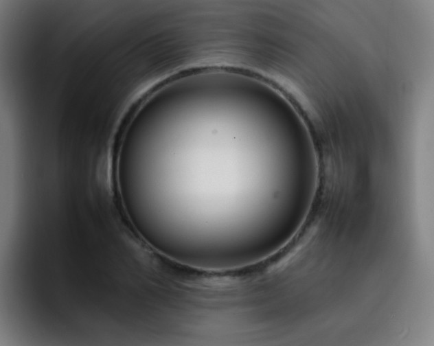 X0000092230982200709141102