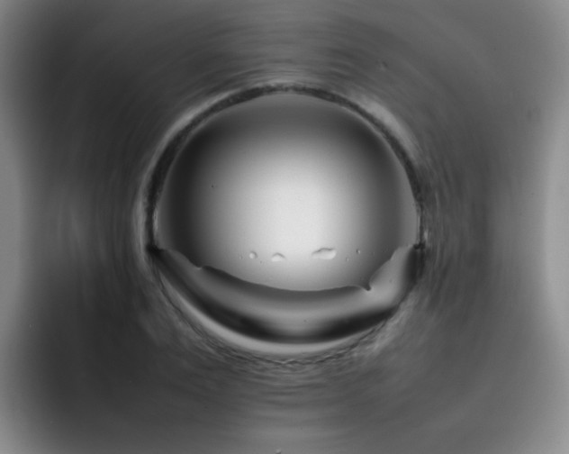 X0000092230983200709141102