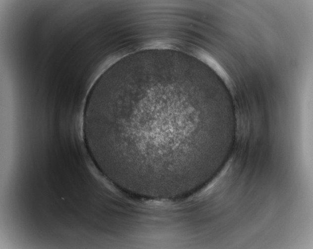 X0000092230994200709141102