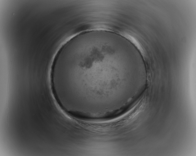 X0000092230995200709141102