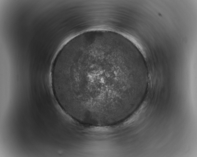 X0000092230998200709141102