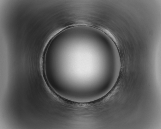 X0000092231003200709141102