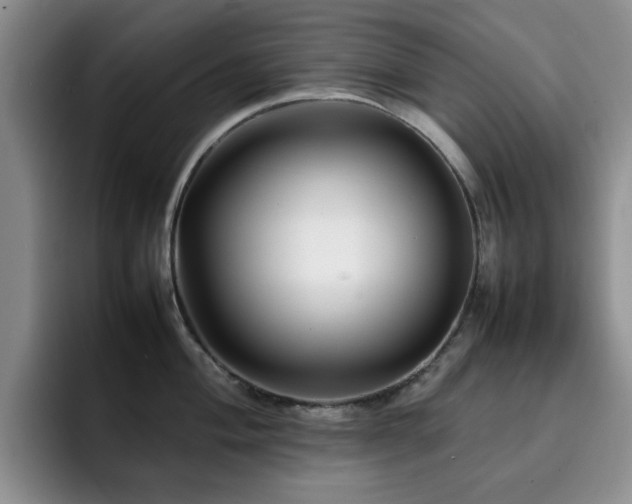 X0000092231004200709141102
