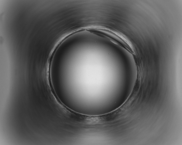 X0000092231006200709141102