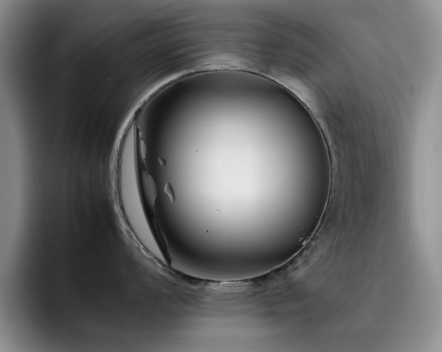 X0000092231008200709141102