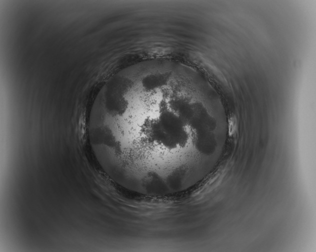 X0000092231011200709141101