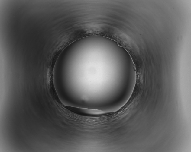 X0000092231012200709141101