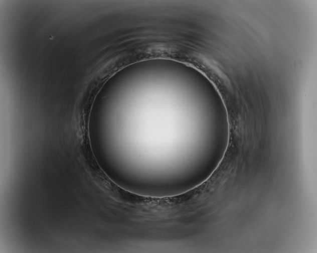 X0000092231015200709141101