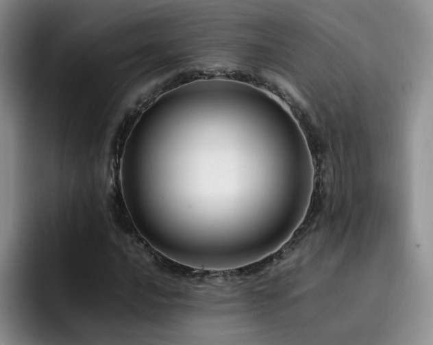 X0000092231016200709141101