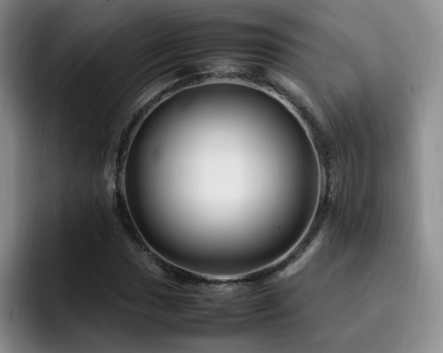 X0000092231017200709141102
