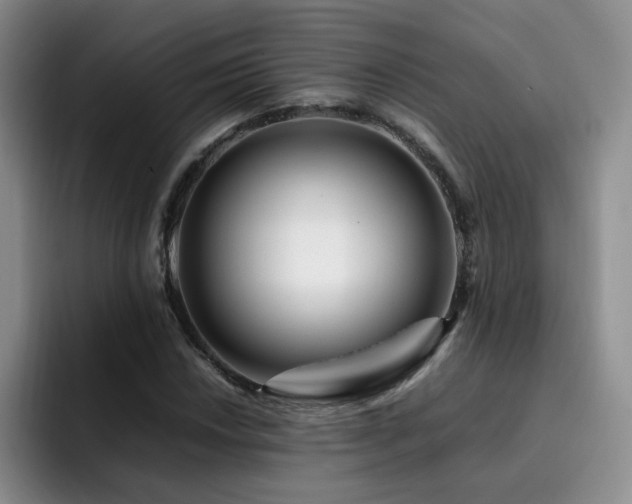 X0000092231018200709141102