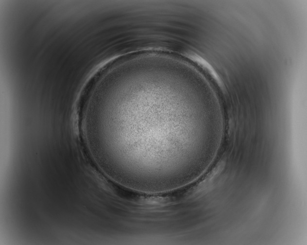 X0000092231019200709141102