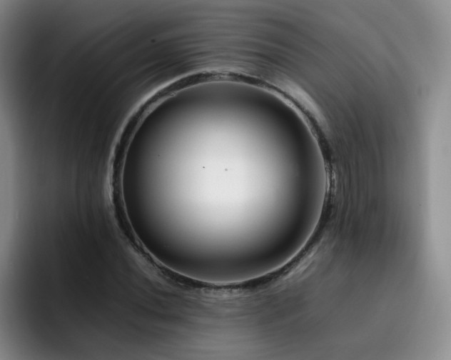 X0000092231020200709141102