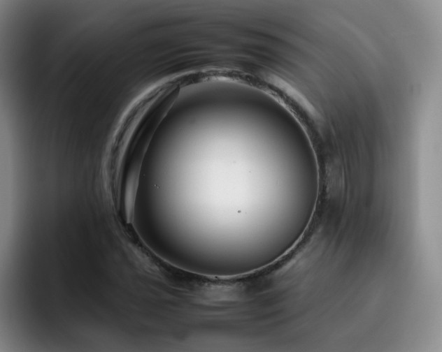 X0000092231021200709141102