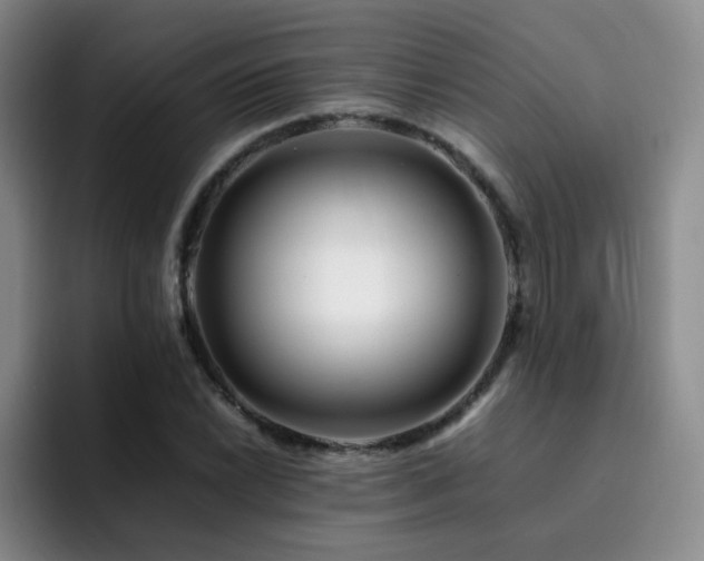 X0000092231022200709141102