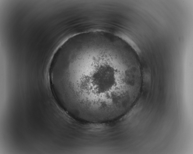 X0000092231023200709141102