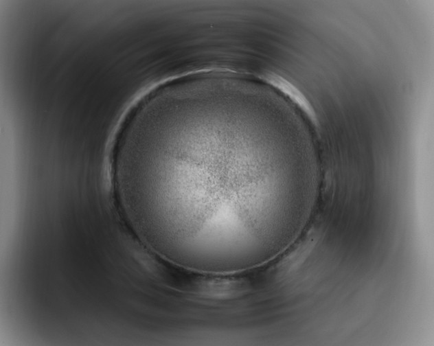X0000092231027200709141102