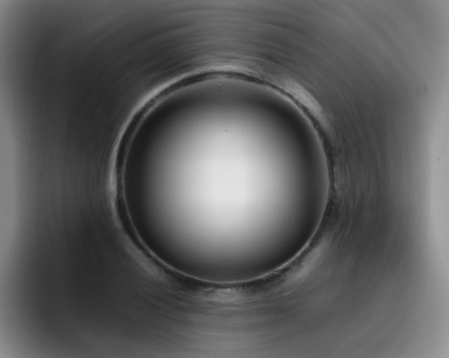 X0000092231028200709141102