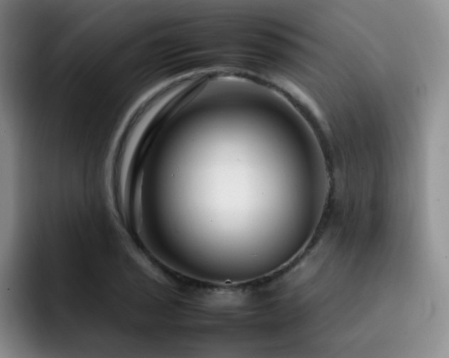 X0000092231029200709141102