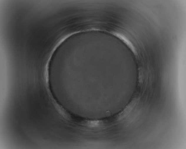 X0000092231031200709141102