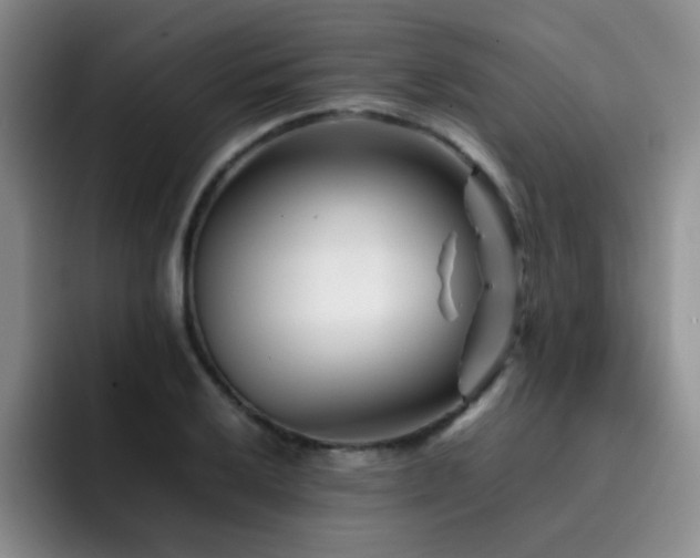 X0000092231032200709141102