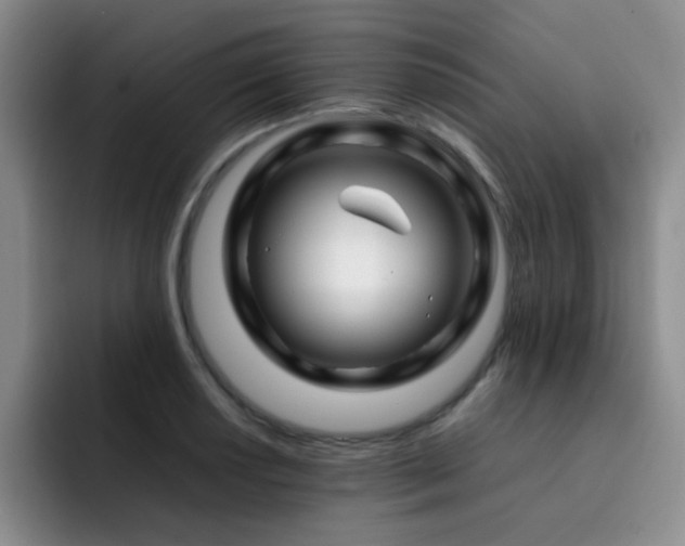 X0000092231034200709141102