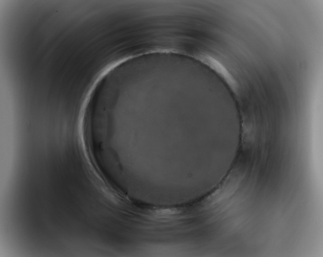X0000092231035200709141102