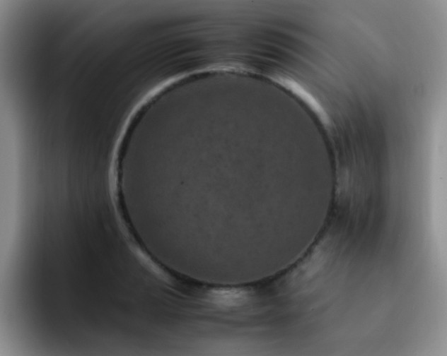 X0000092231037200709141102