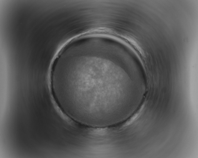 X0000092231038200709141102