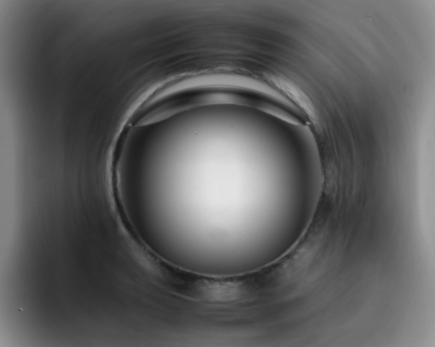 X0000092231039200709141102