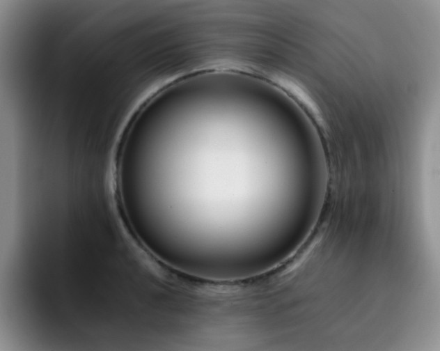 X0000092231040200709141102