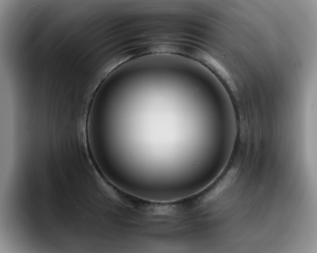X0000092231041200709141102