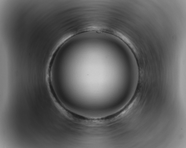 X0000092231042200709141102