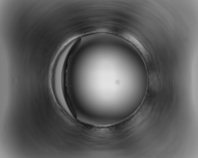 X0000092231043200709141102